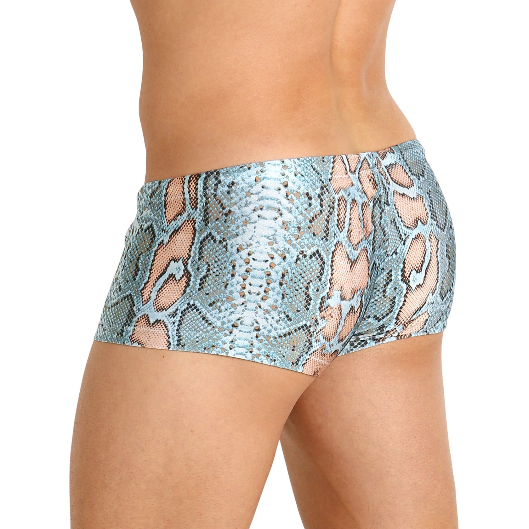 Rick Majors Blue Snake Low Rise Swim Trunks